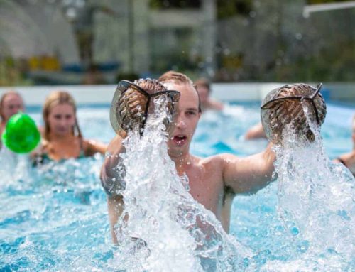 Unlock the full potential of your pool